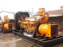 荔湾发电机组的频率规格是如何确定的？